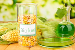 Lower Blunsdon biofuel availability